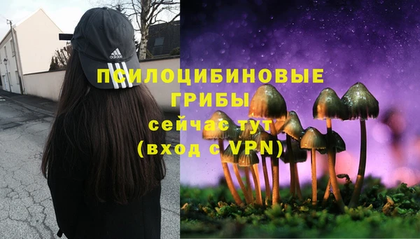 ALPHA PVP Богородицк