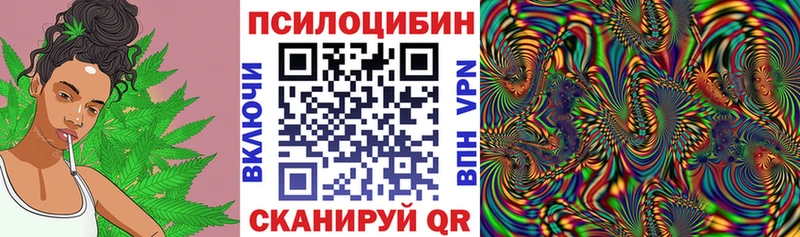 Галлюциногенные грибы Psilocybine cubensis  Чекалин 