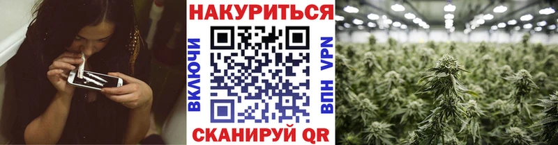 даркнет наркотические препараты  Чекалин  МАРИХУАНА SATIVA & INDICA 